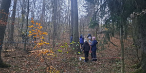 Škola v přírodě s Lipkou - Ostrov u Macochy 2024 - 1732366603_Ostrov u Macochy 2024 - ŠvPř s Lipkou (159).jpg